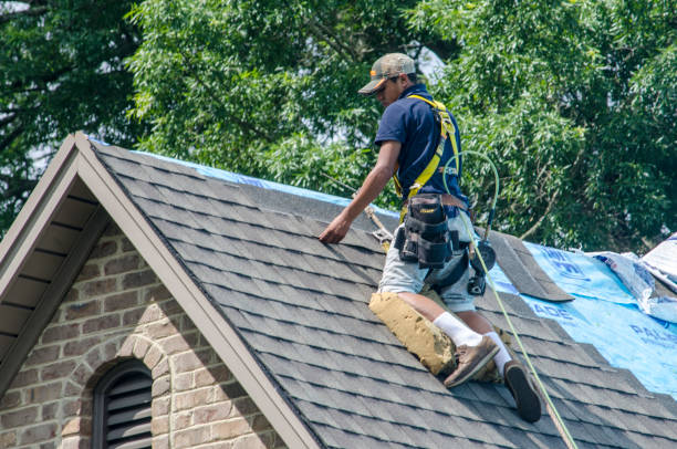 Best Roof Gutter Cleaning  in Keshore, LA